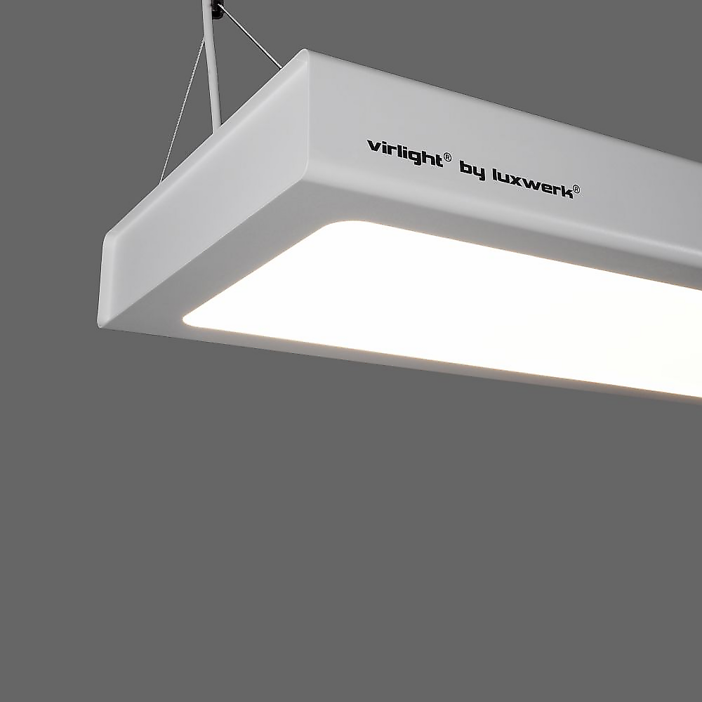 x.education virlight P