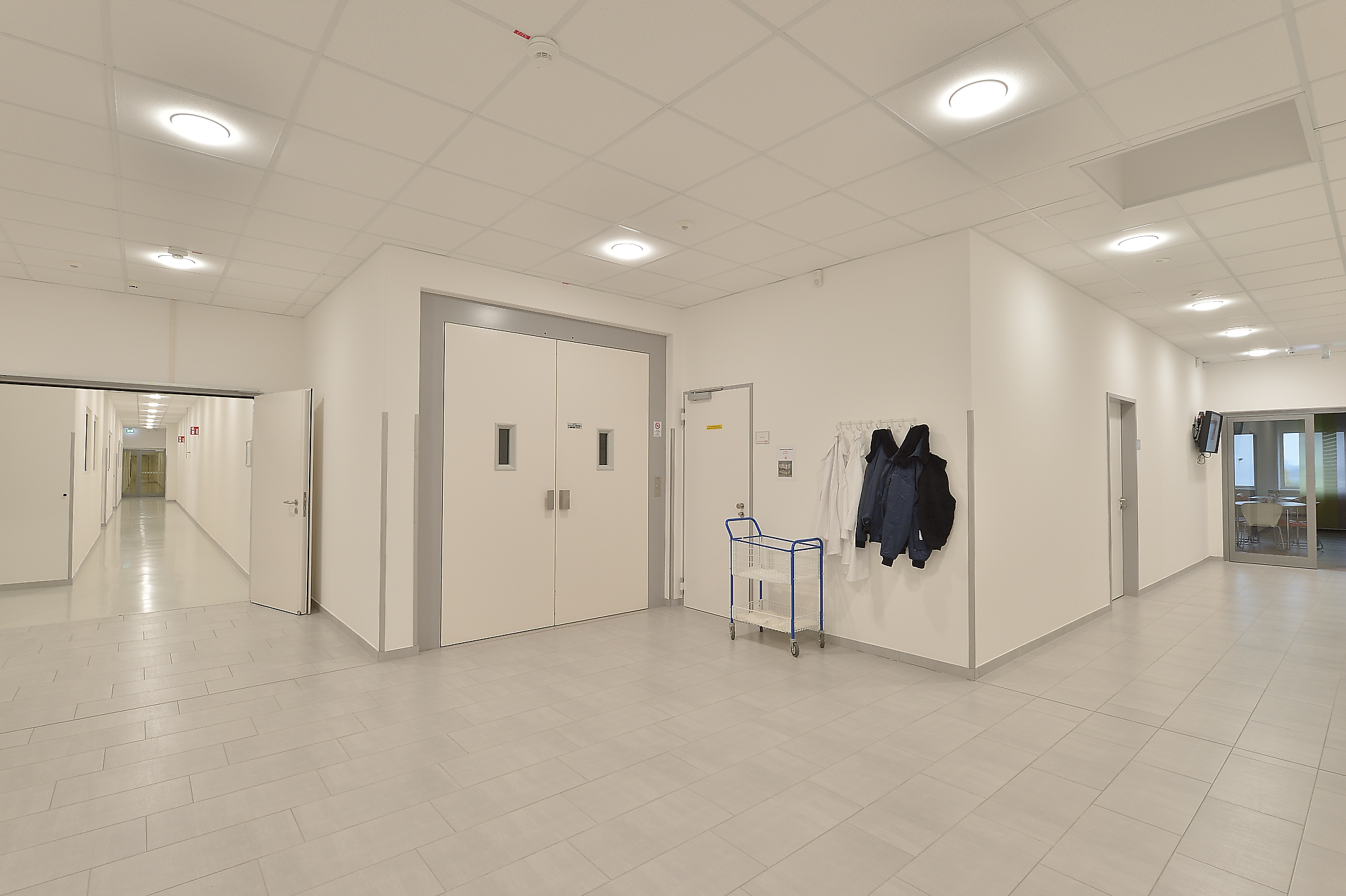 Human Magdeburg | Branche: Industrie und Gewerbe