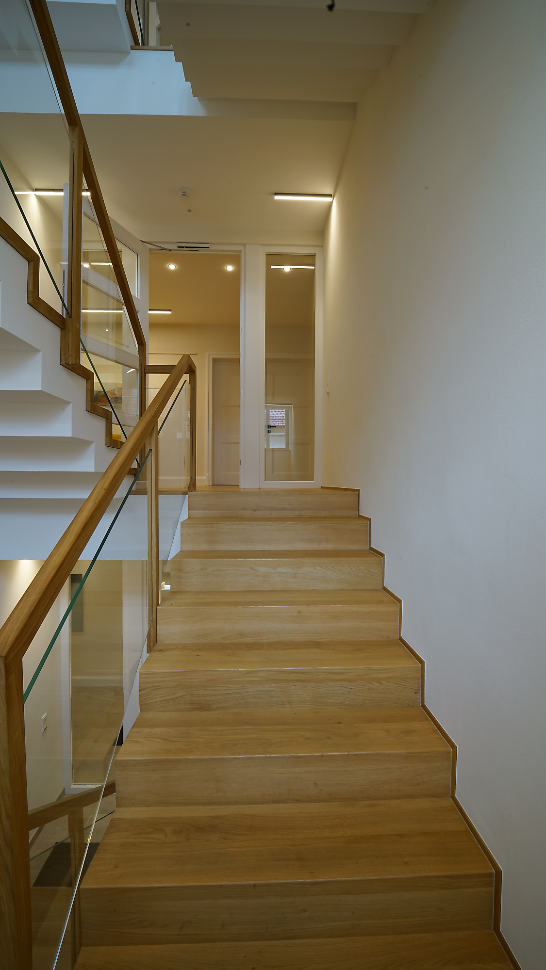 Notariat Dr. Marcus Zelyk | Branche: Office und Verwaltung