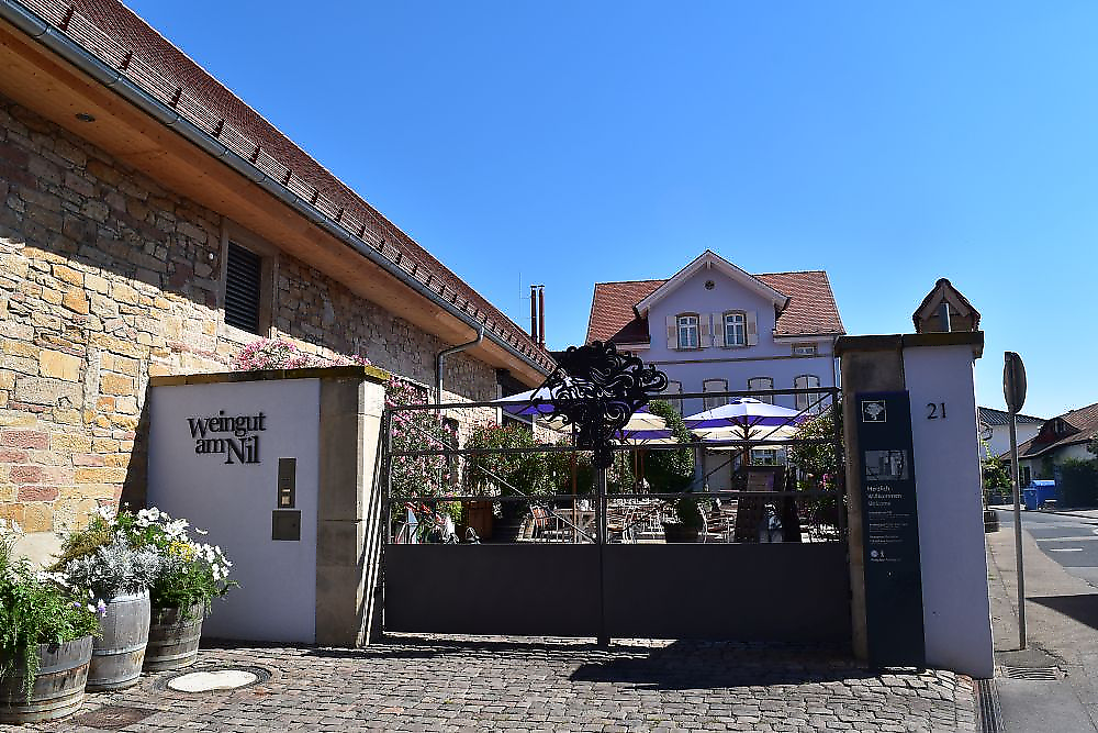 Weingut am Nil Kallstadt - Sanierung des Weinkellers im Weingut am Nil in Kallstadt