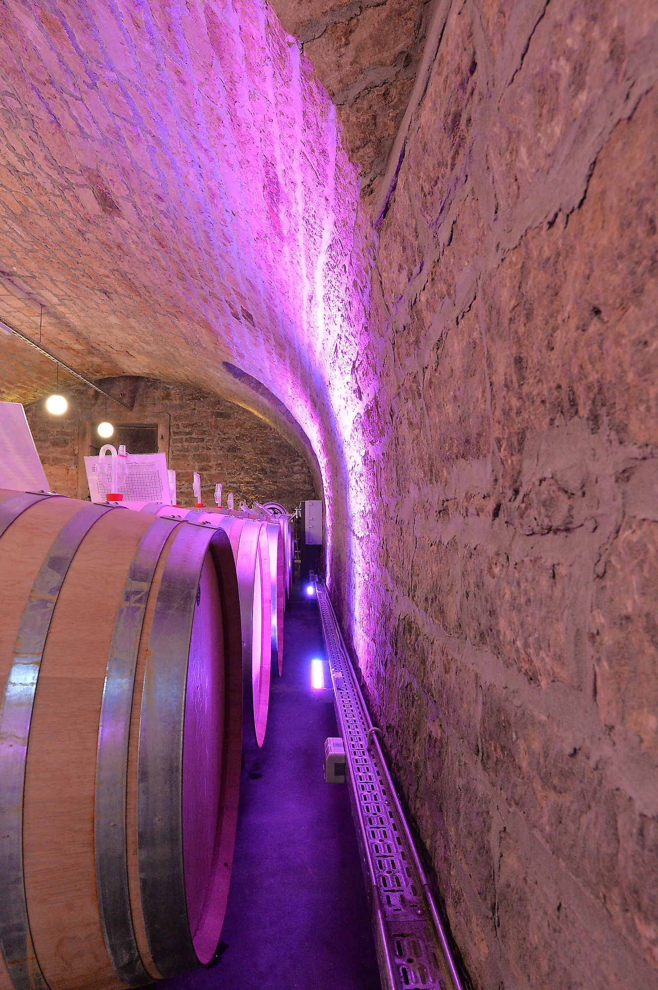 Weingut am Nil Kallstadt | Branche: Praesentation und Verkauf