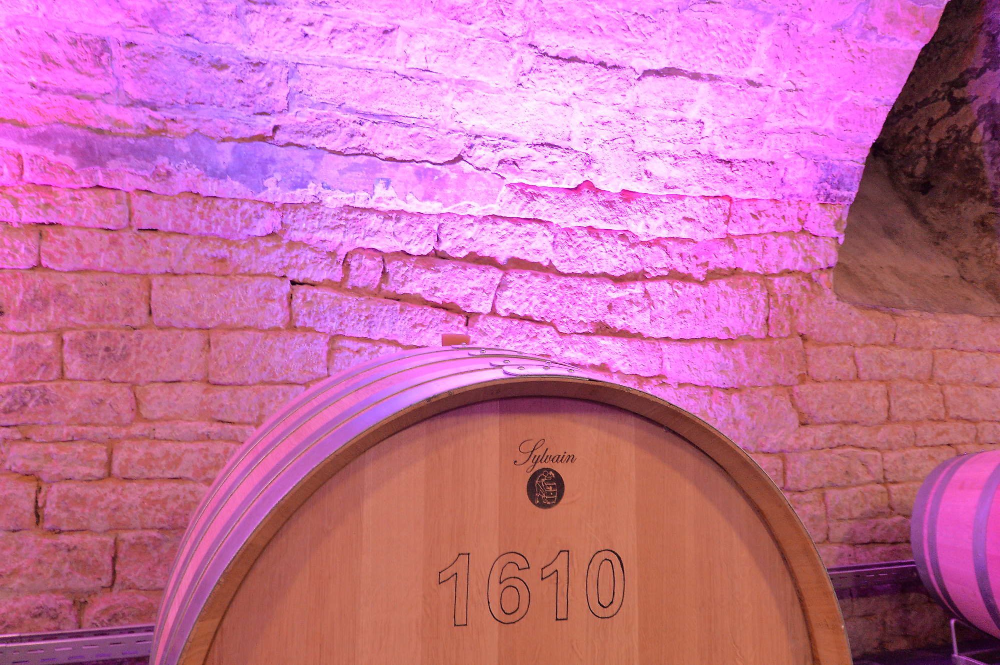 Weingut am Nil Kallstadt | Branche: Praesentation und Verkauf