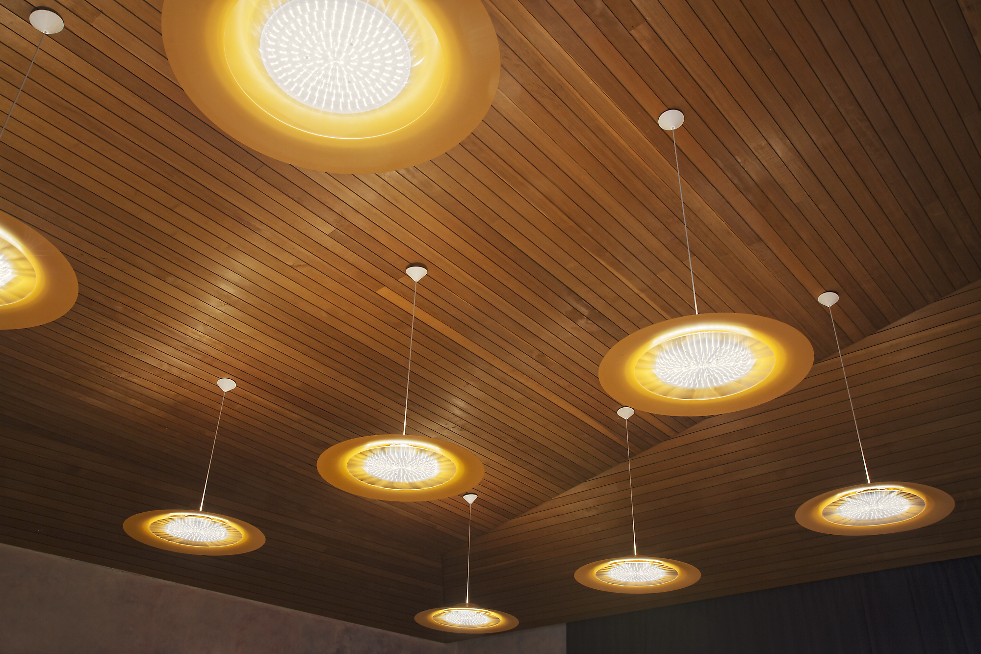 Freie Georgenschule Reutlingen | Branche: Waldorfschulen