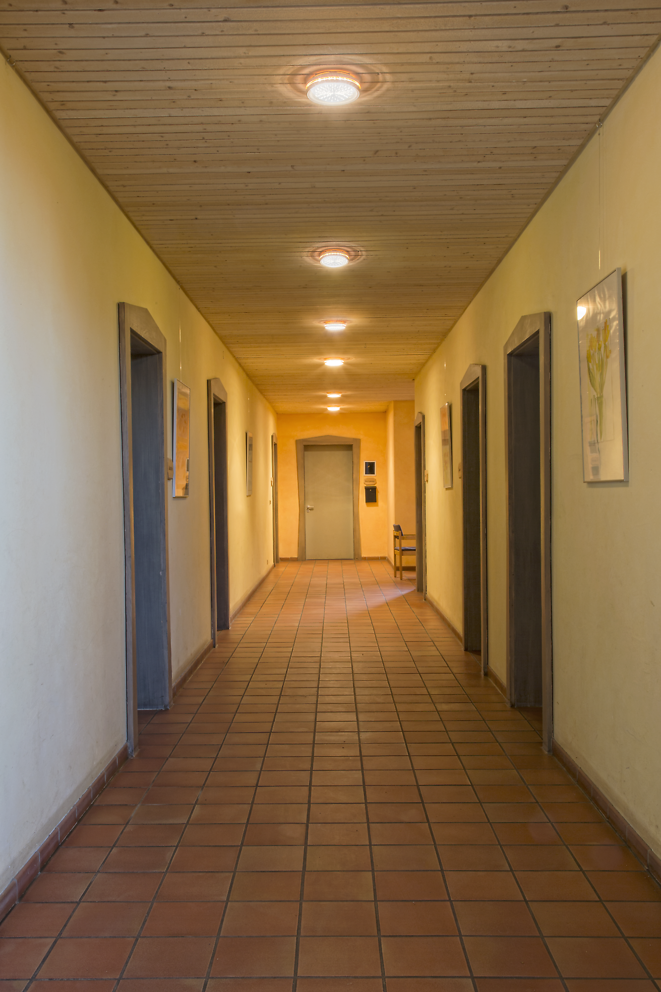 Freie Waldorfschule Engstingen - Lichttechnische Sanierung der Freien Waldorfschule auf der Alb Engstingen