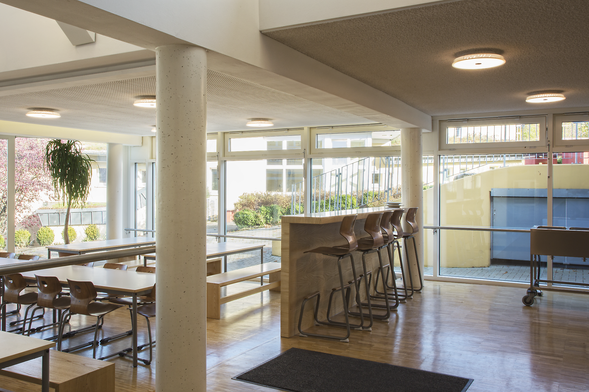 Freie Waldorfschule Haan Gruiten | Branche: Waldorfschulen